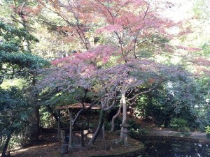秋の武志山荘庭園風景　3