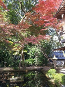 秋の武志山荘庭園風景　1